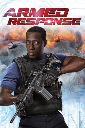 Armed Response (2017) Hindi Dual Audio 480p UnCut BluRay 340MB