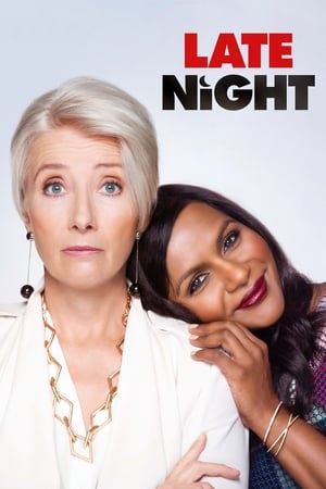 Late Night 2019 Hindi Dual Audio 720p Web-DL [940MB]