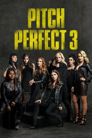 Pitch Perfect 3 2017 Hindi Dual Audio 480p BluRay 300MB