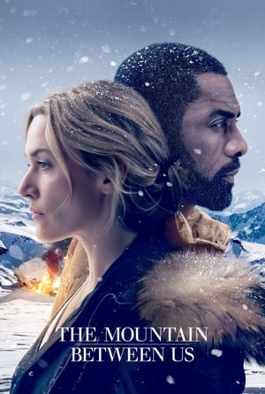 The Mountain Between Us 2017 Dual Audio Hindi 480p Bluray 350MB